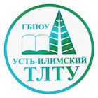 Государственное бюджетное профессиональное образовательное учреждение Иркутской области «Усть-Илимский техникум лесопромышленных технологий и сферы услуг»